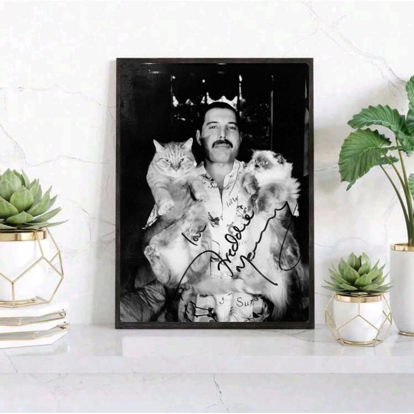 Freddie Mercury - Queen