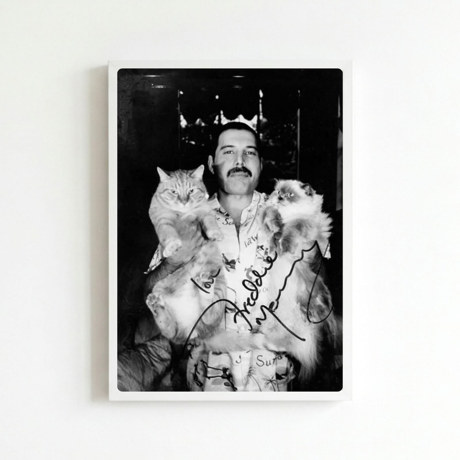 freddie mercury - queen