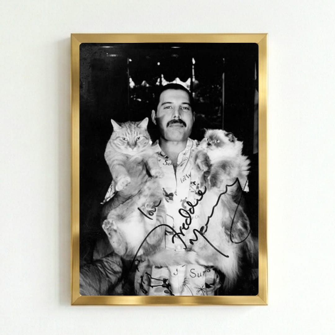 freddie mercury - queen