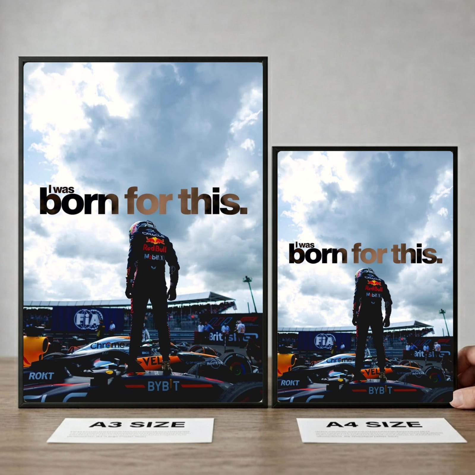 Max Verstappen Red Bull F1