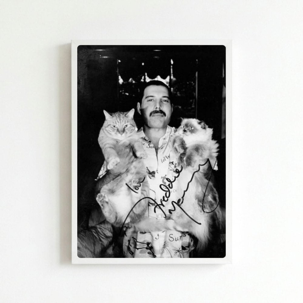 Freddie Mercury - Queen Poster with Frame - Vibes DistrictFreddie Mercury - Queen Poster with Frame poster BiancoVibes District