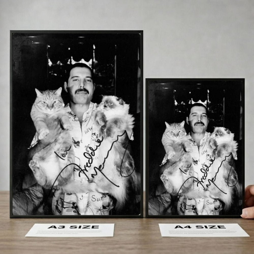 Freddie Mercury - Queen Poster with Frame - Vibes DistrictFreddie Mercury - Queen Poster with Frame poster GoldVibes District