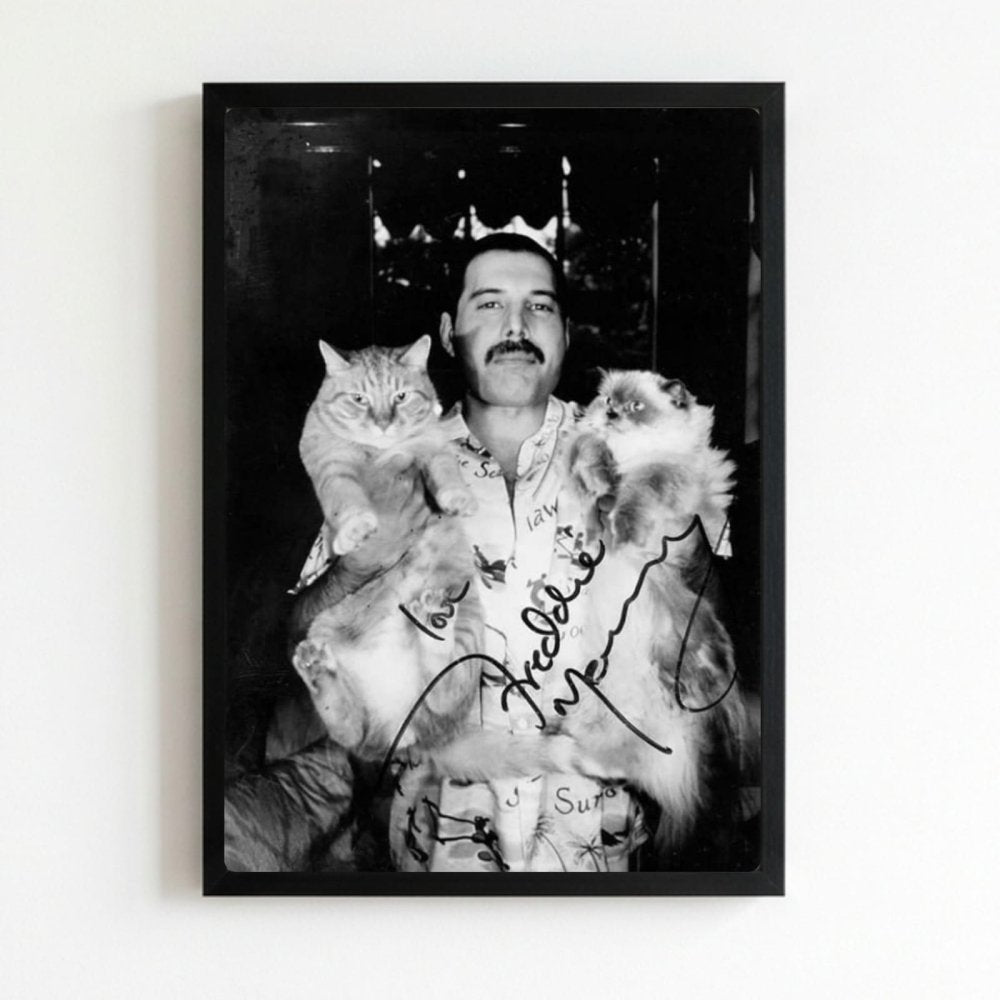 Freddie Mercury - Queen Poster with Frame - Vibes DistrictFreddie Mercury - Queen Poster with Frame poster NeroVibes District