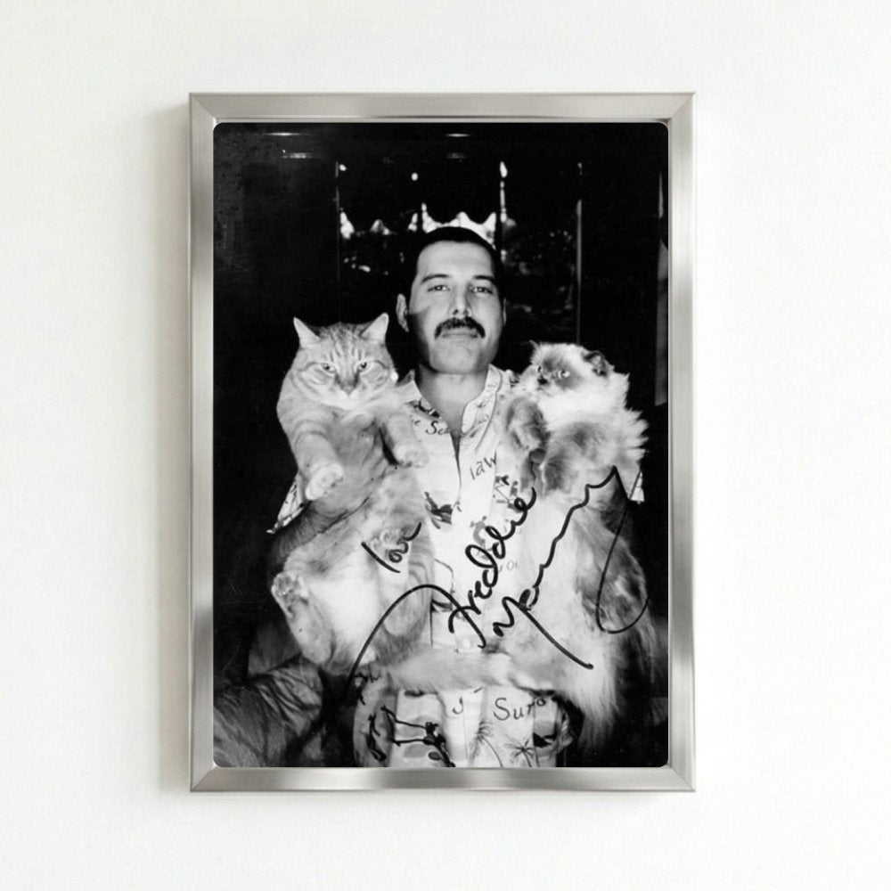 Freddie Mercury - Queen Poster with Frame - Vibes DistrictFreddie Mercury - Queen Poster with Frame poster SilverVibes District