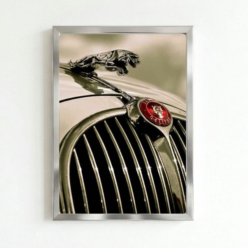 Jaguar - Vibes DistrictJaguar SilverVibes District