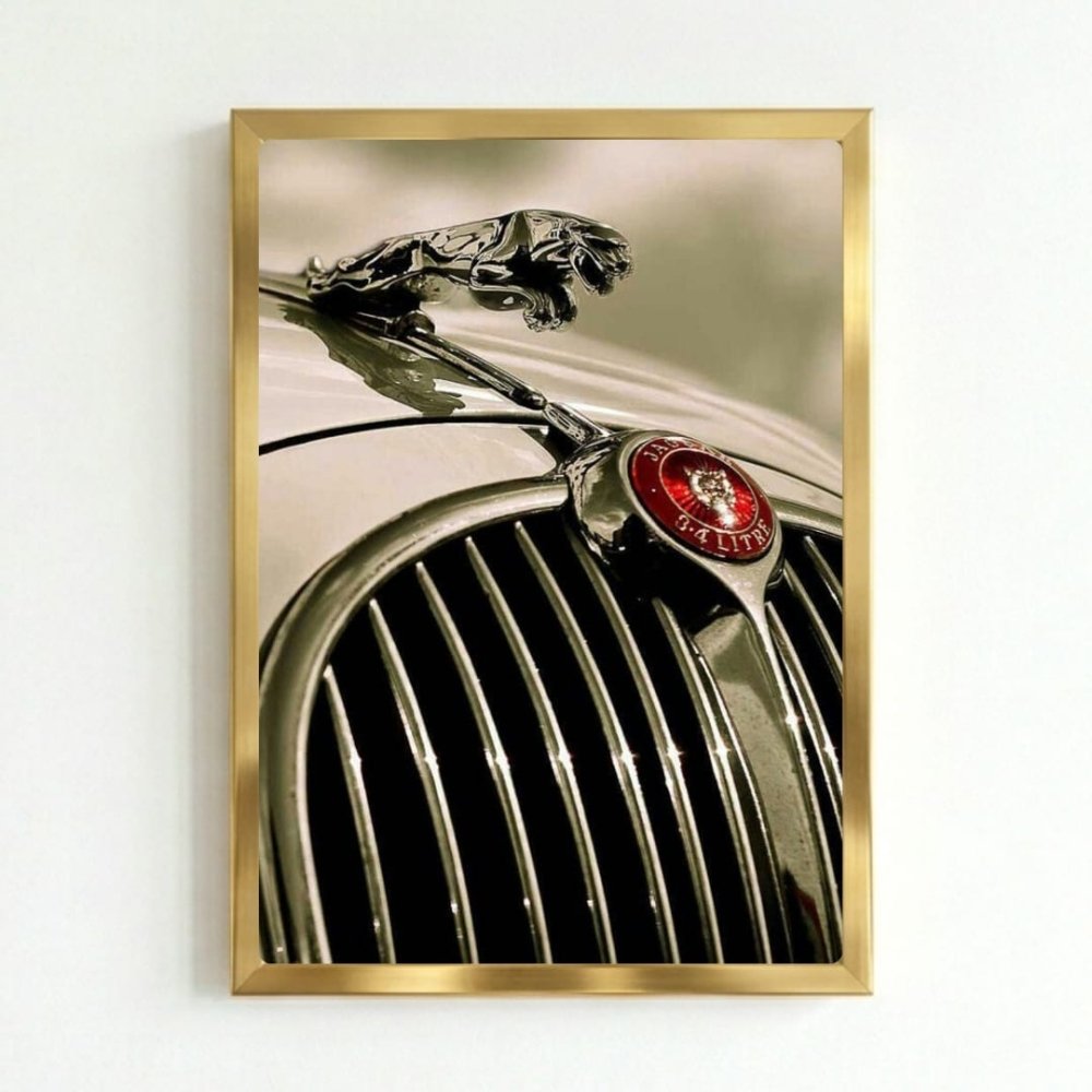 Jaguar - Vibes DistrictJaguar GoldVibes District