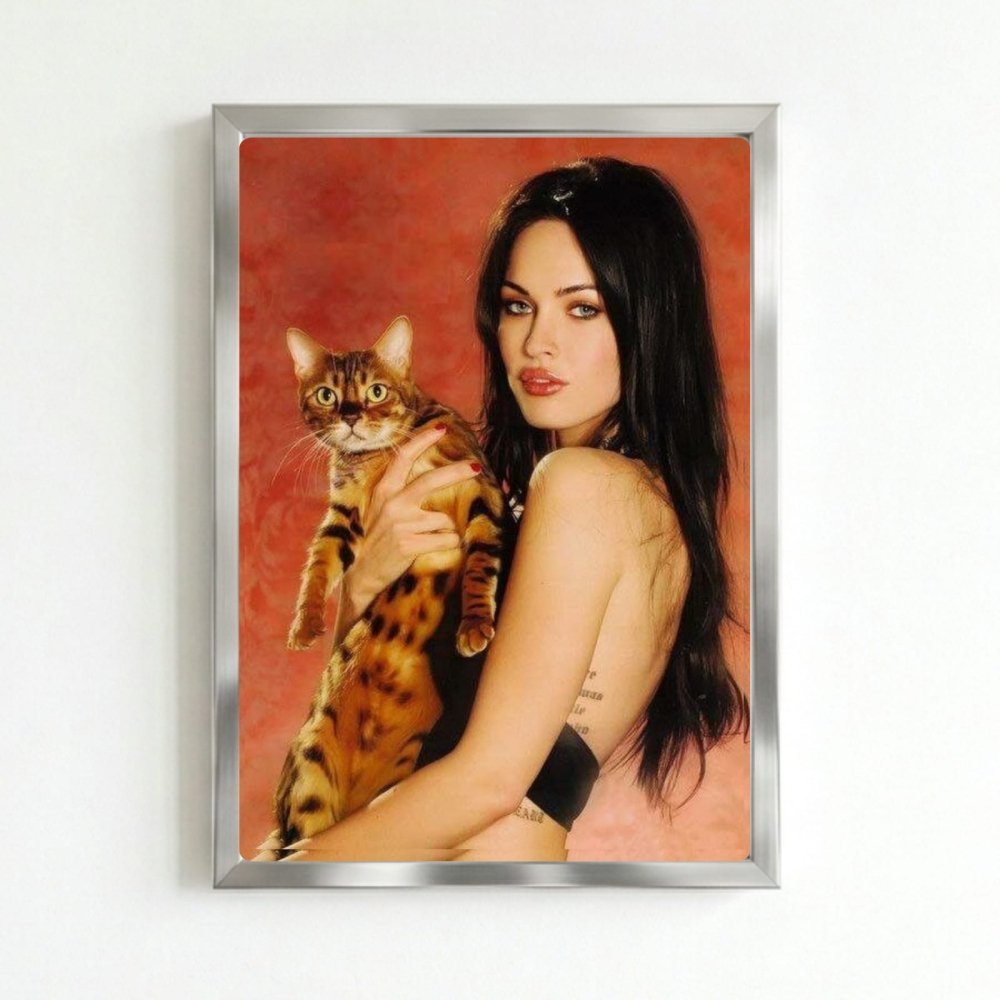 Megan Fox Poster with Frame - Vibes DistrictMegan Fox Poster with Frame poster SilverVibes District