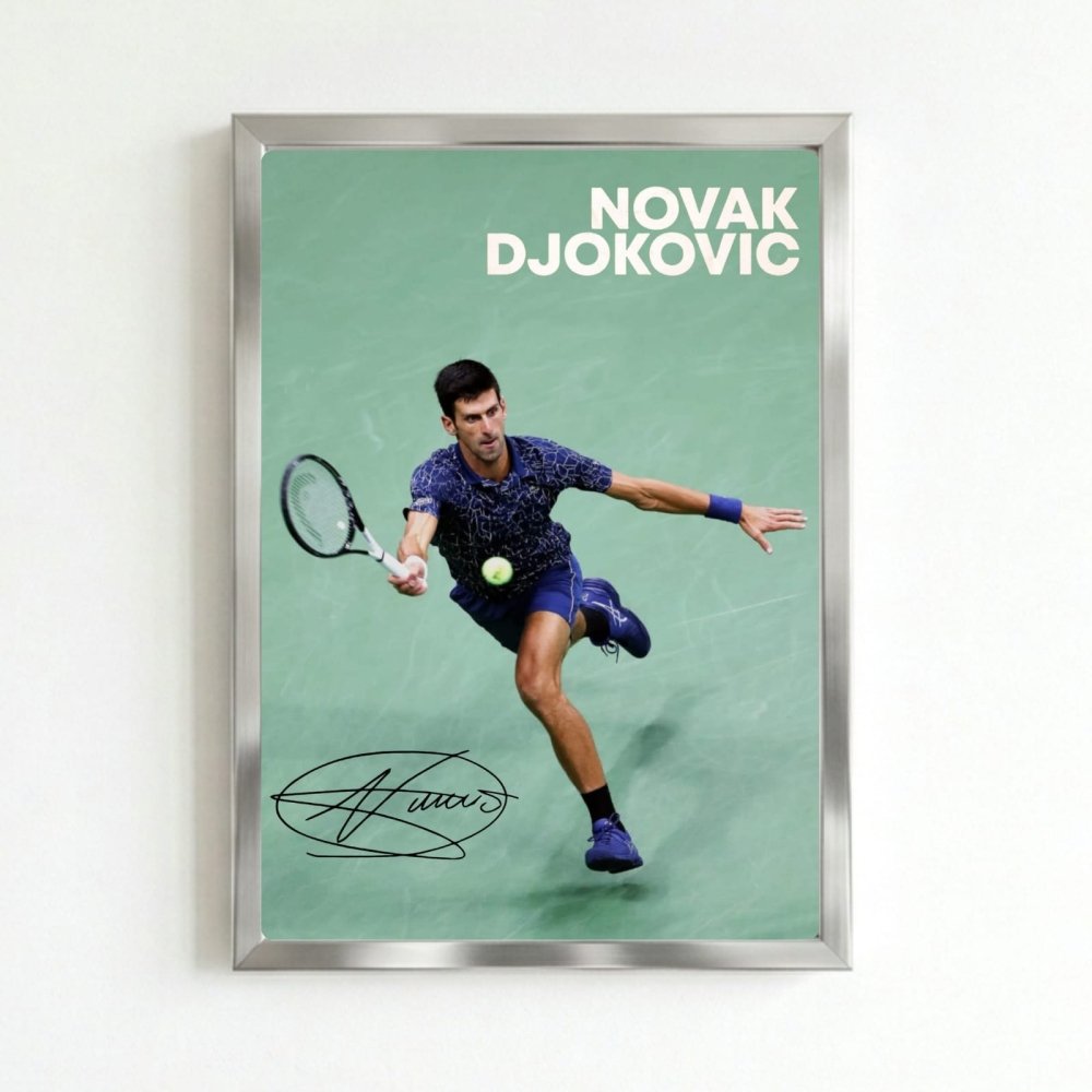 novak djokovic - Vibes Districtnovak djokovic poster SilverVibes District