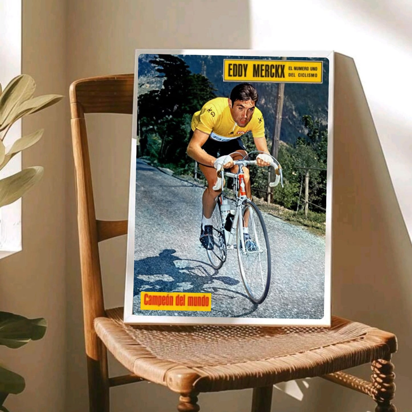 Eddy Merckx - ciclismo