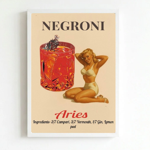 bar and restaurant decoration negroni aries