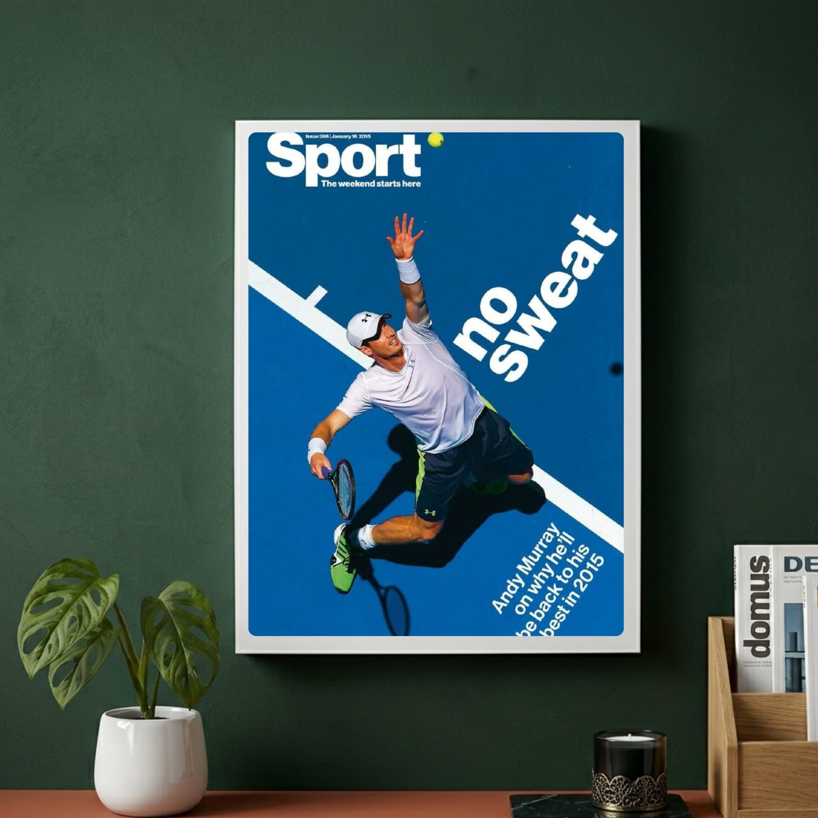 Tennis Andy Murray