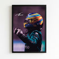 Fernando Alonso F1