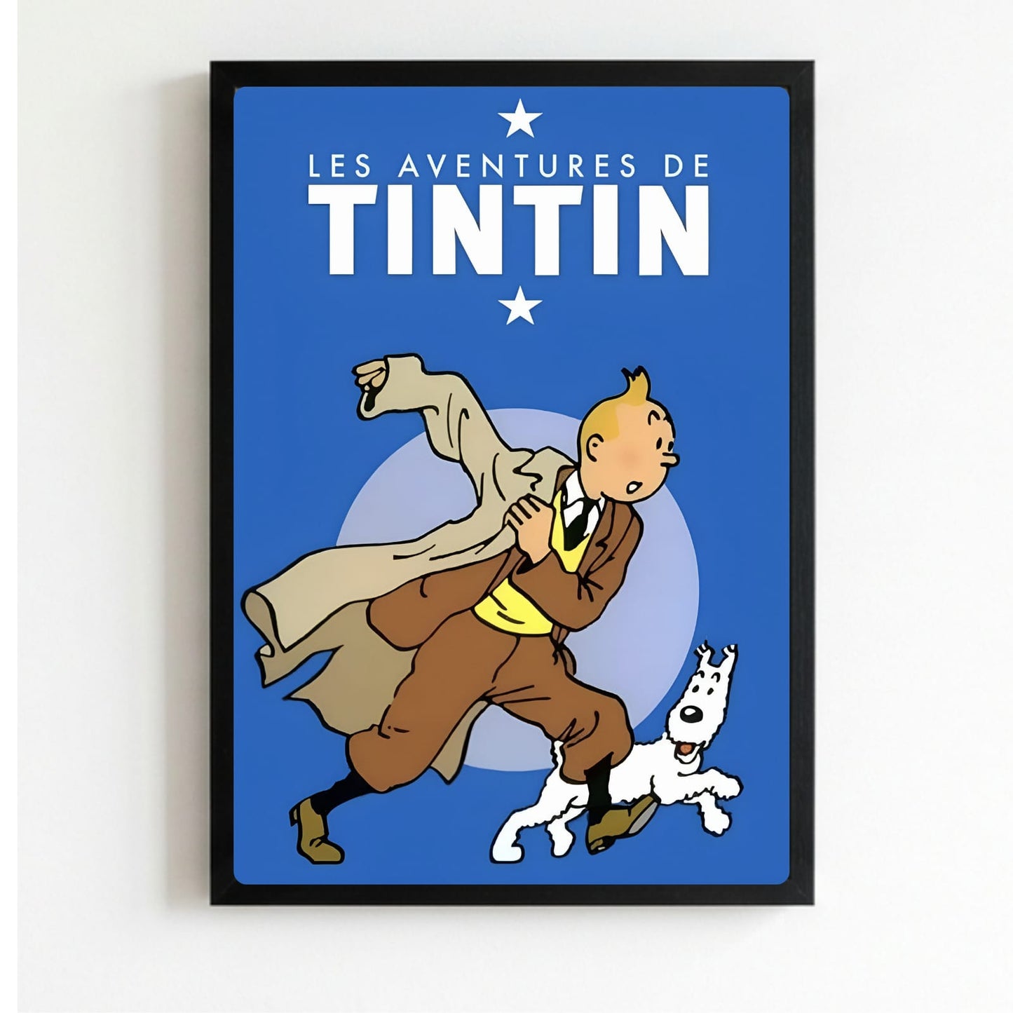 Les aventures de tintin