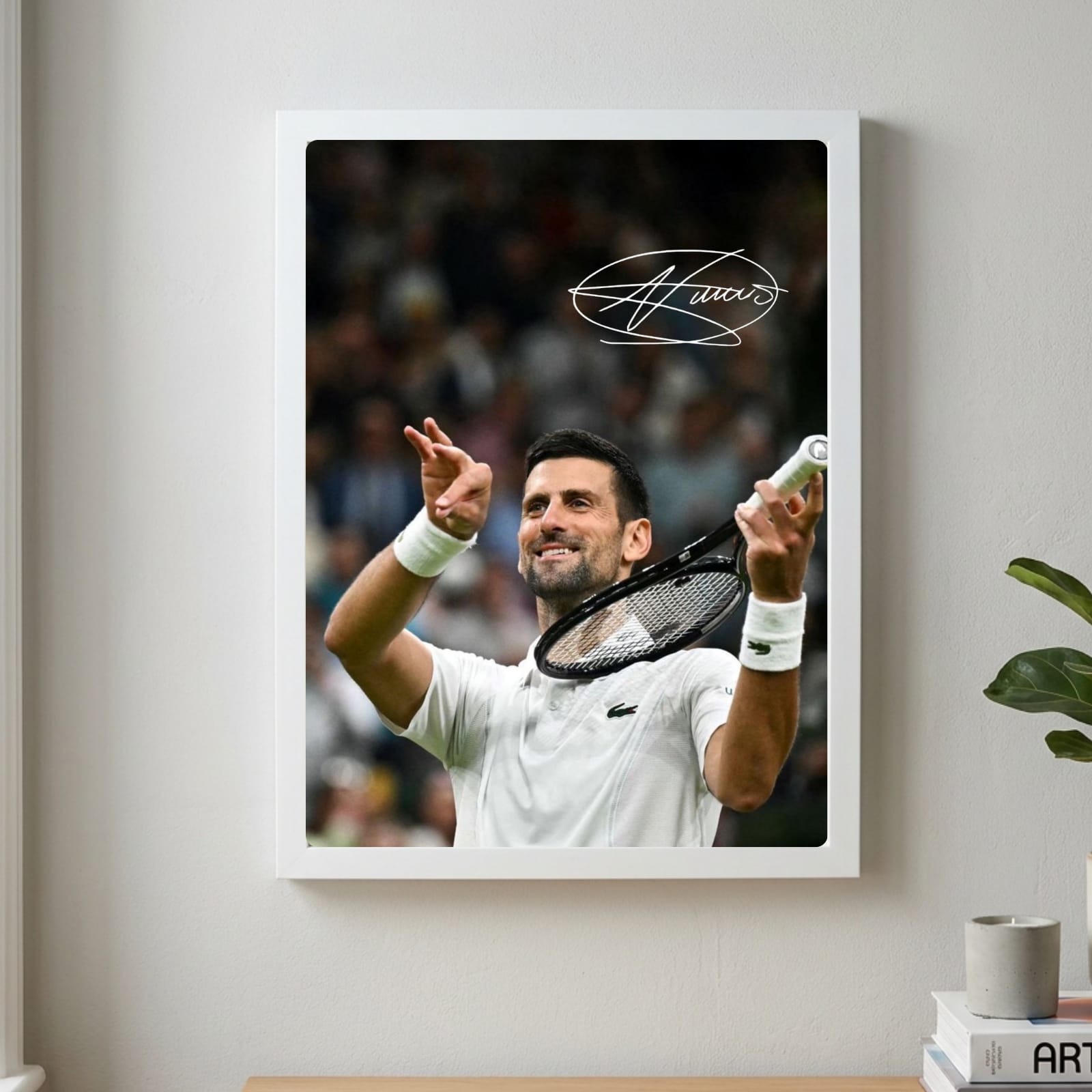 novak djokovic - tennis