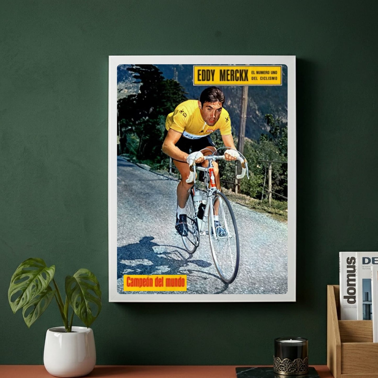 Eddy Merckx - ciclismo