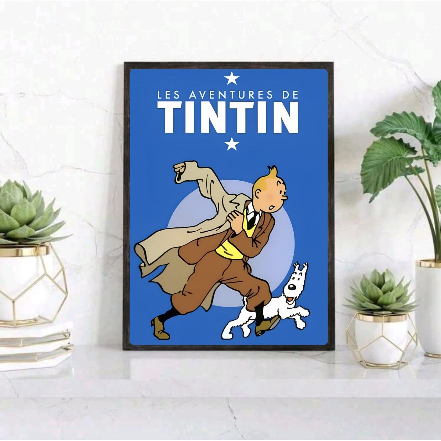 Les aventures de tintin