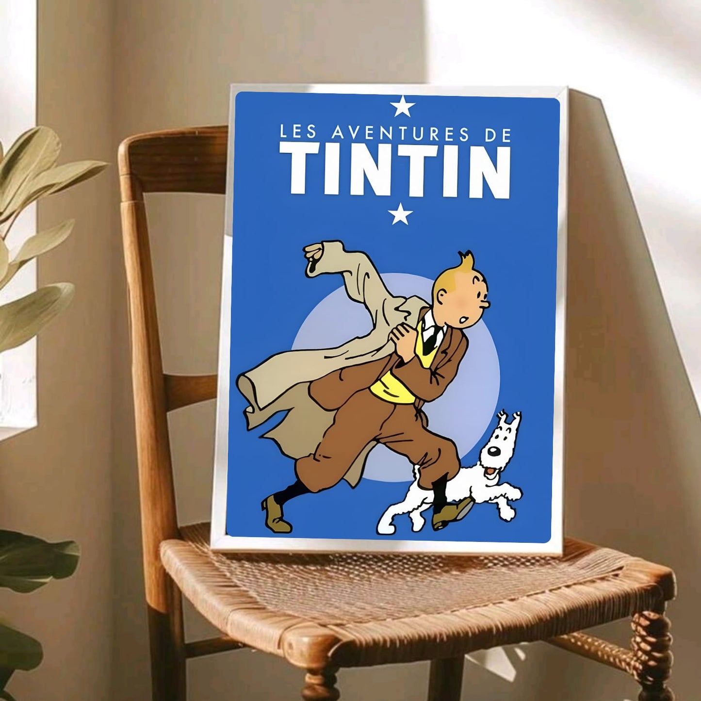 Les aventures de tintin
