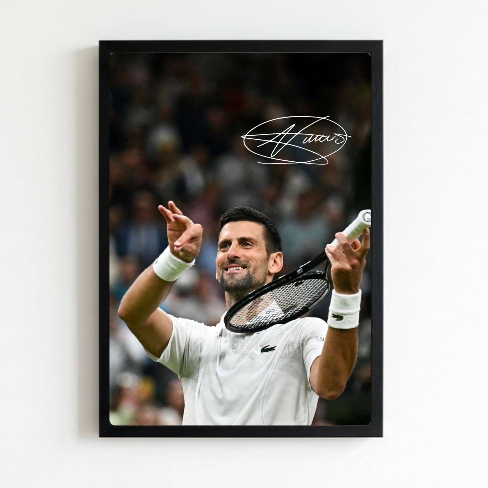novak djokovic - tennis