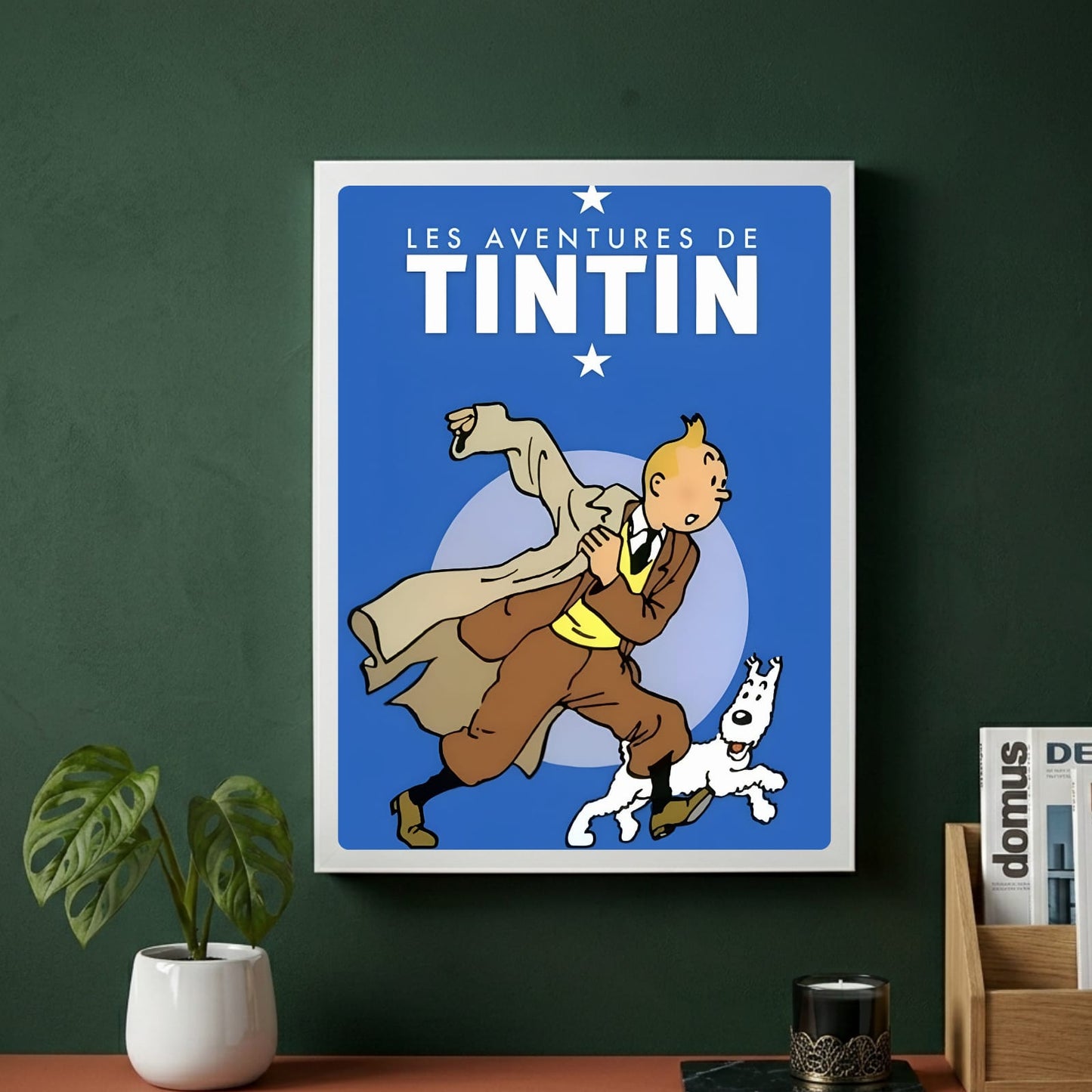 Les aventures de tintin