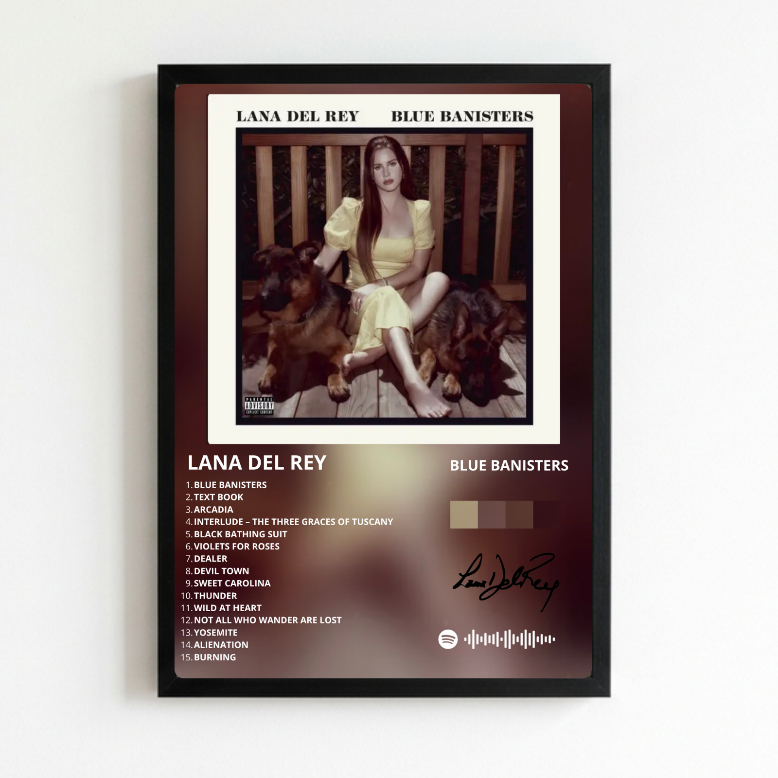 lana del rey - blue banisters