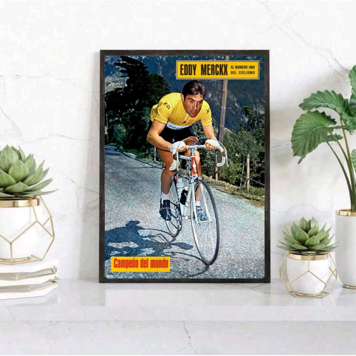 Eddy Merckx - ciclismo