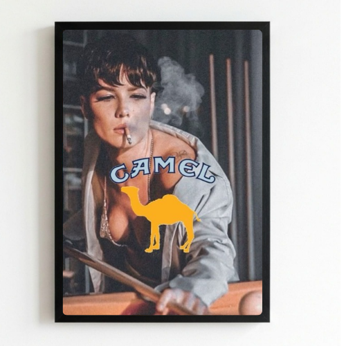 bar and restaurant decoration, Camel sigarette