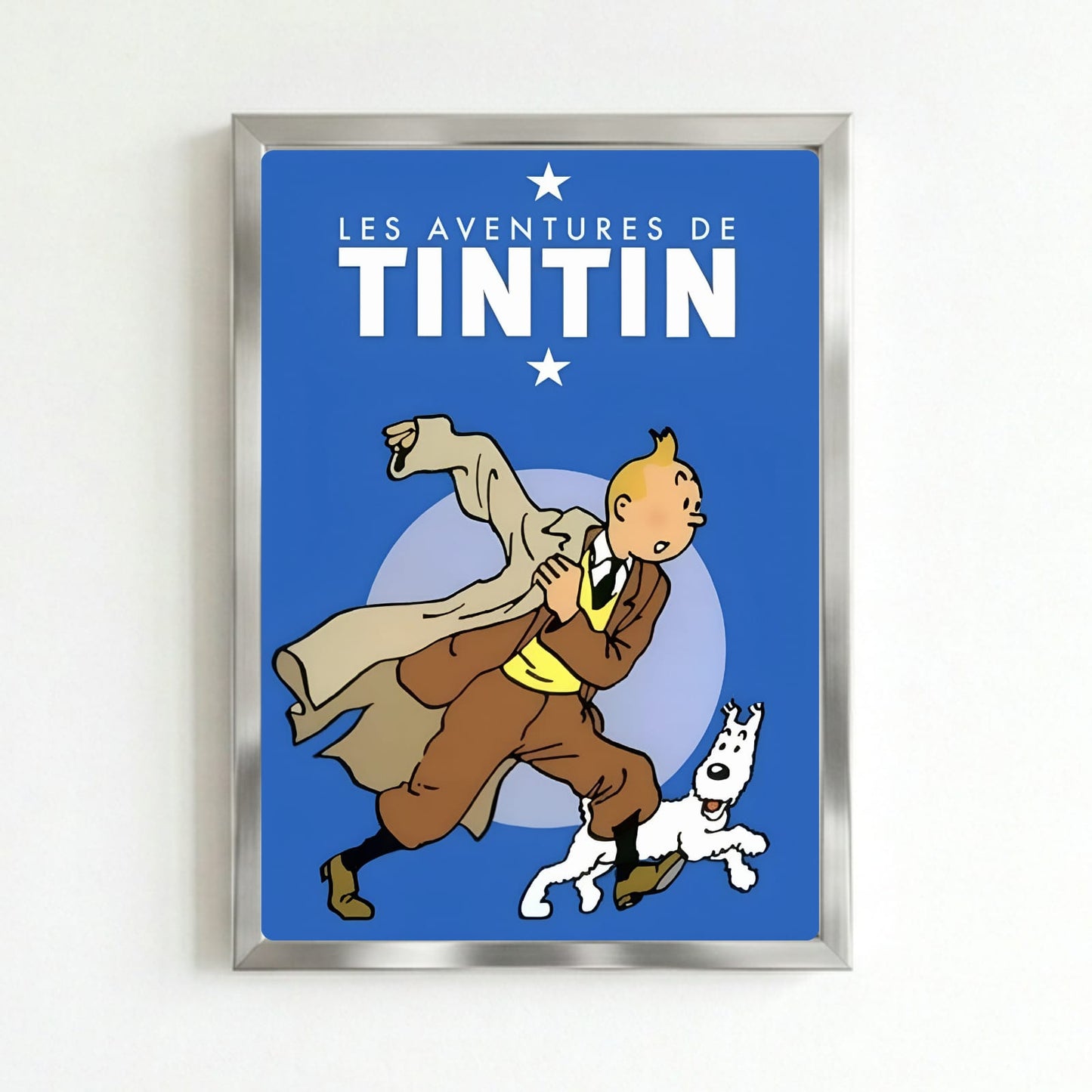 Les aventures de tintin