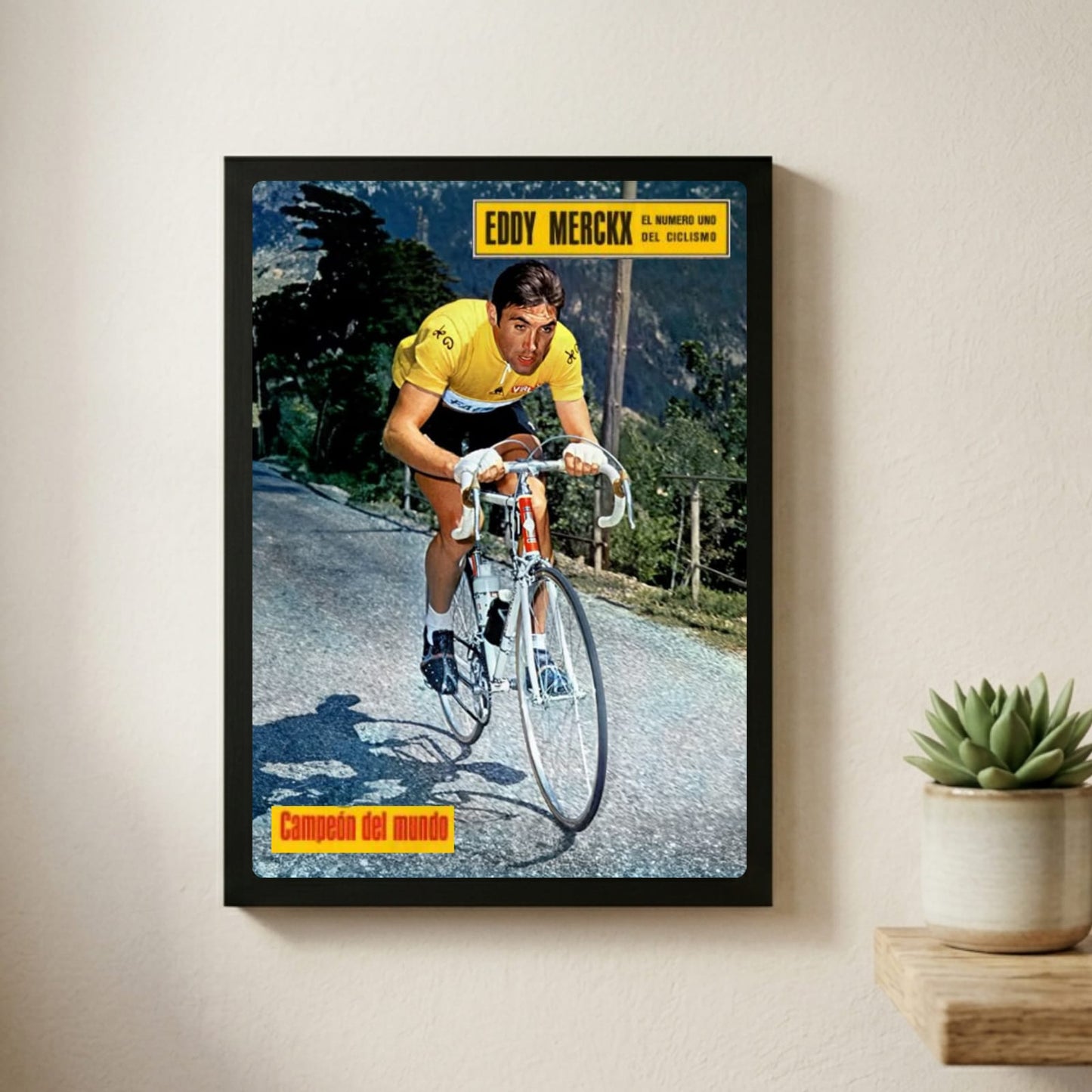 Eddy Merckx - ciclismo