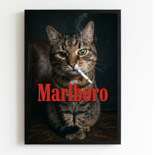 bar and restaurant decoration, Marlboro cat sigarette