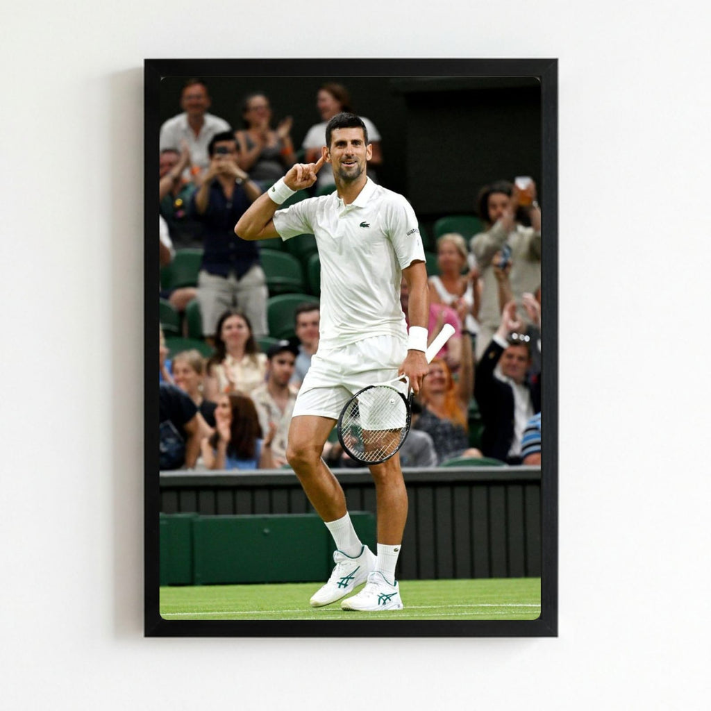 novak djokovic - tennis