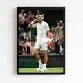 novak djokovic - tennis