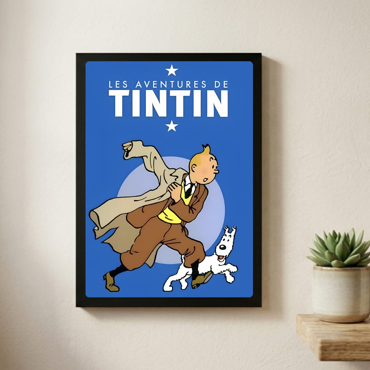 Les aventures de tintin