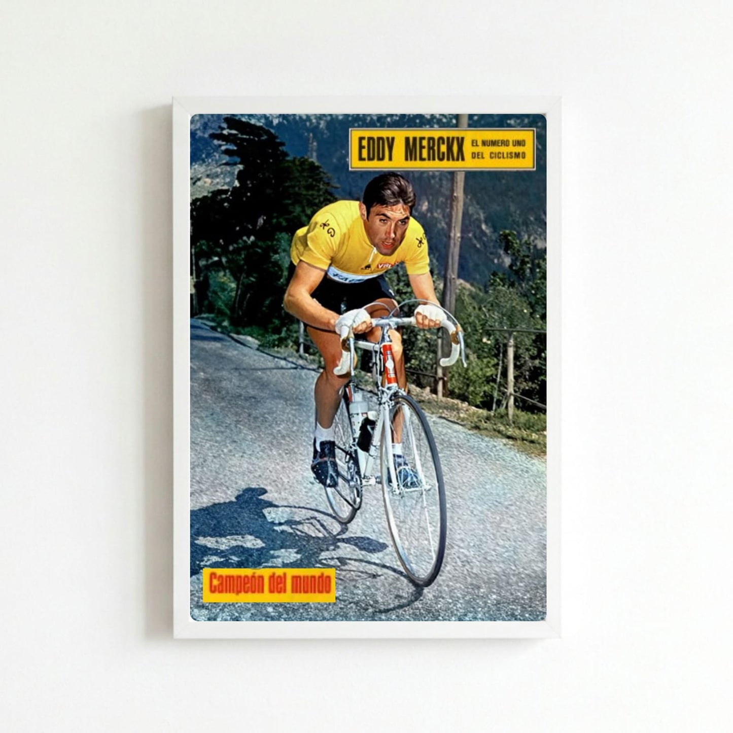 Eddy Merckx - ciclismo