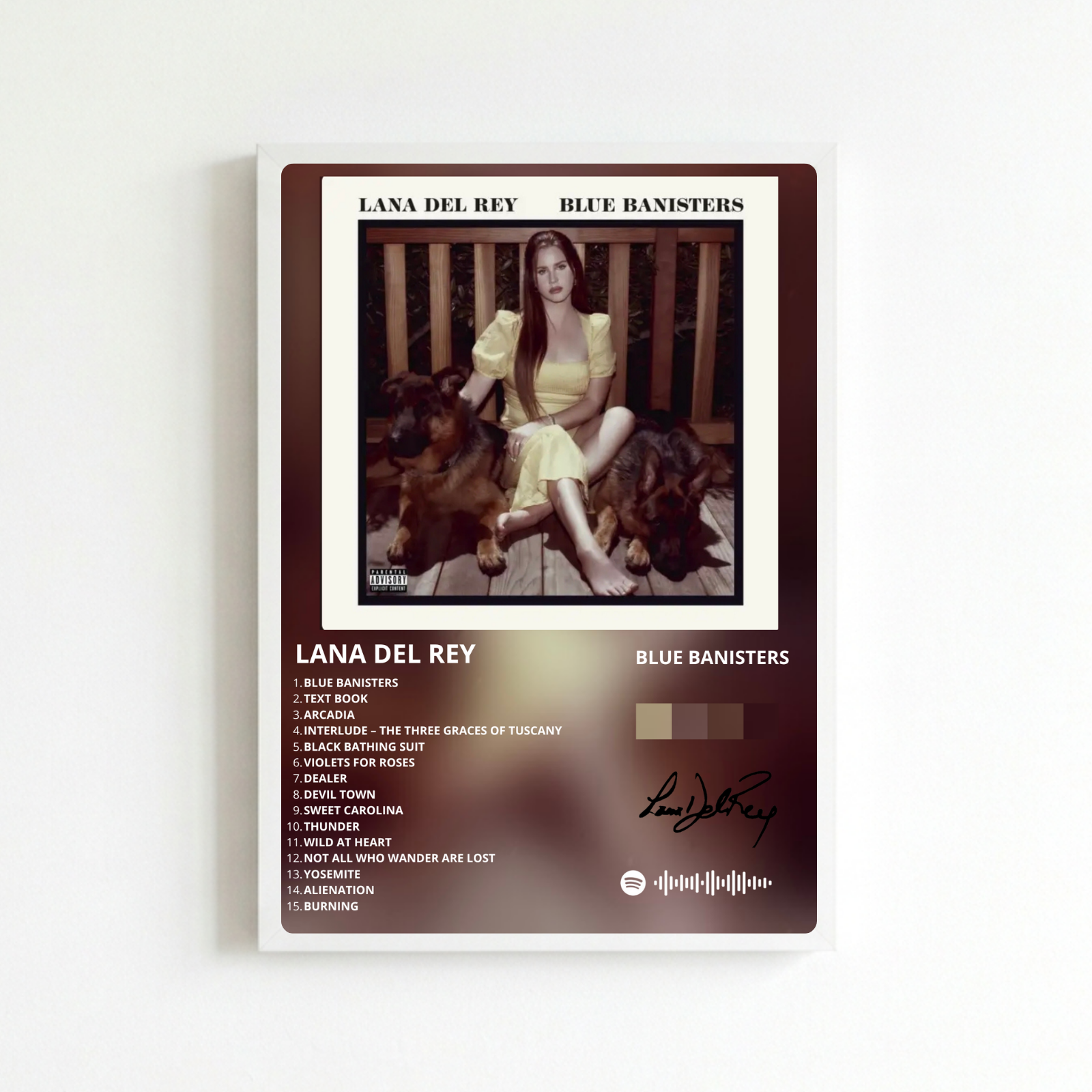 lana del rey - blue banisters