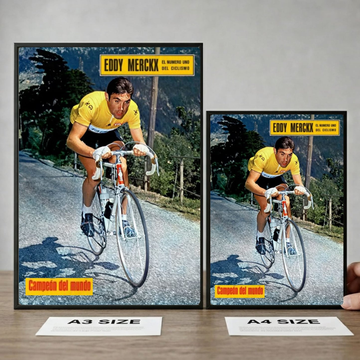 Eddy Merckx - ciclismo