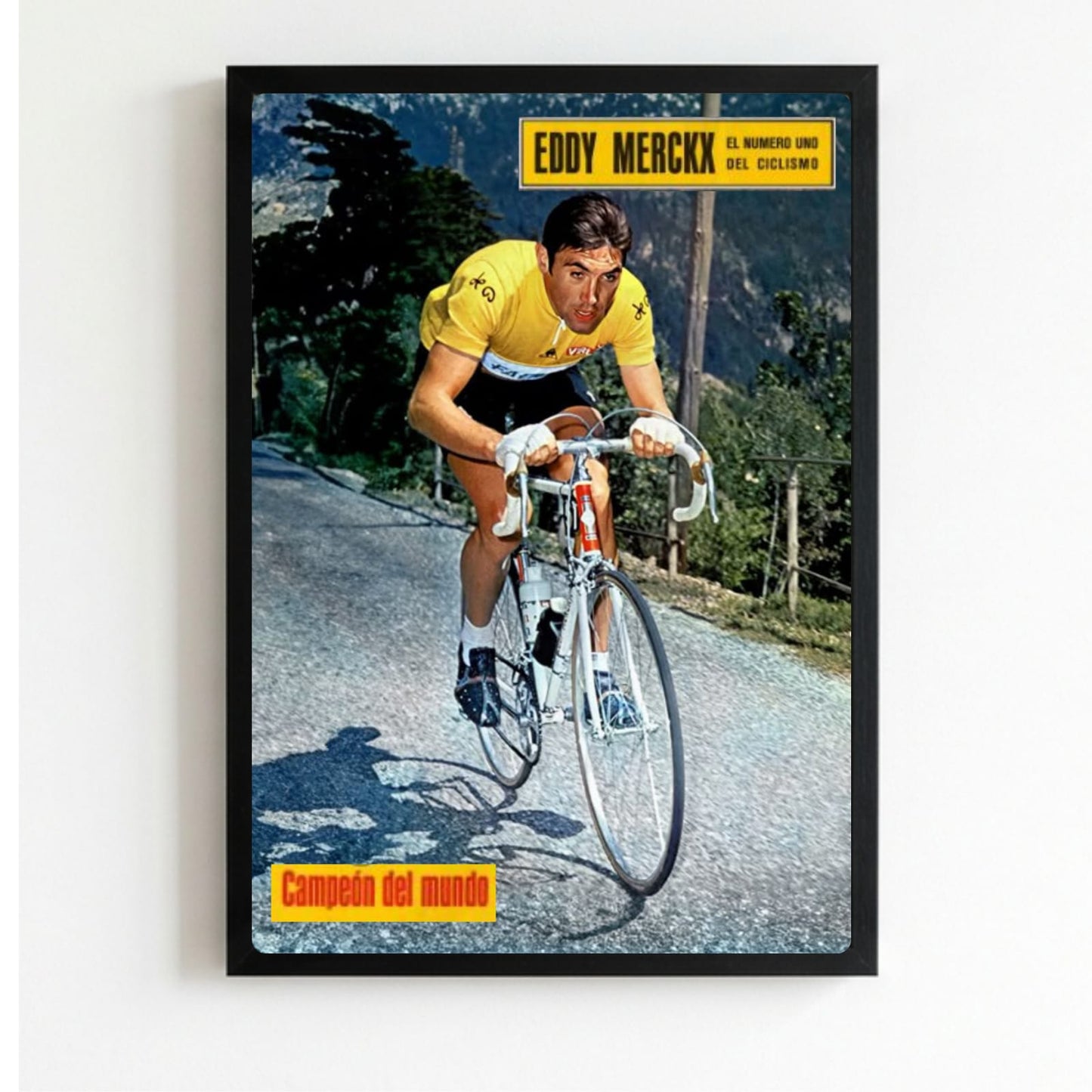 Eddy Merckx - ciclismo
