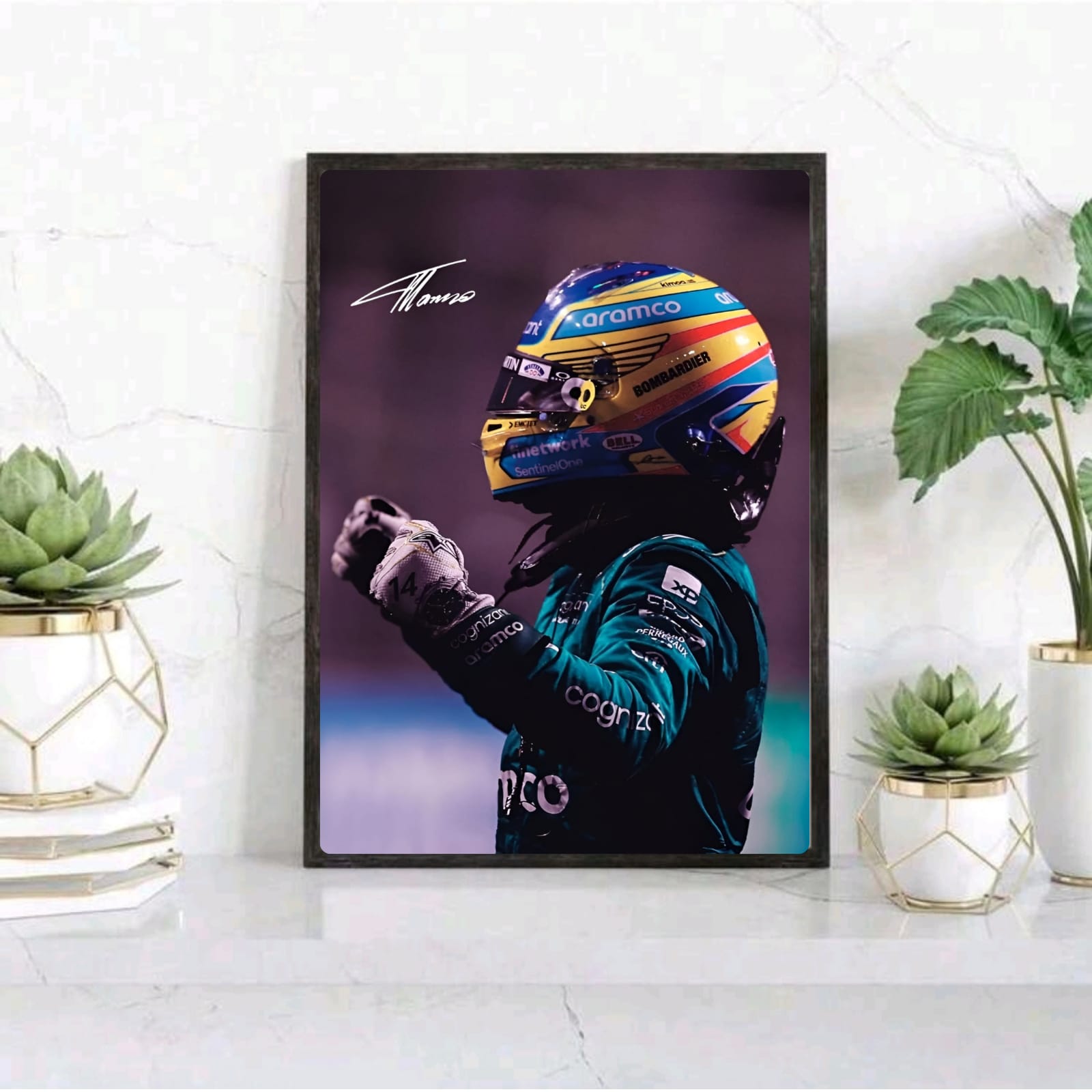 Fernando alonso f1