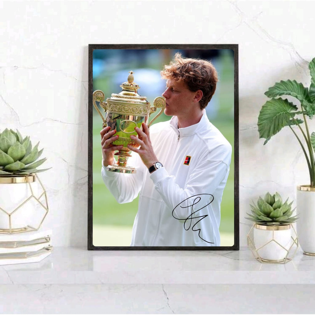 Jannik sinner - tennis