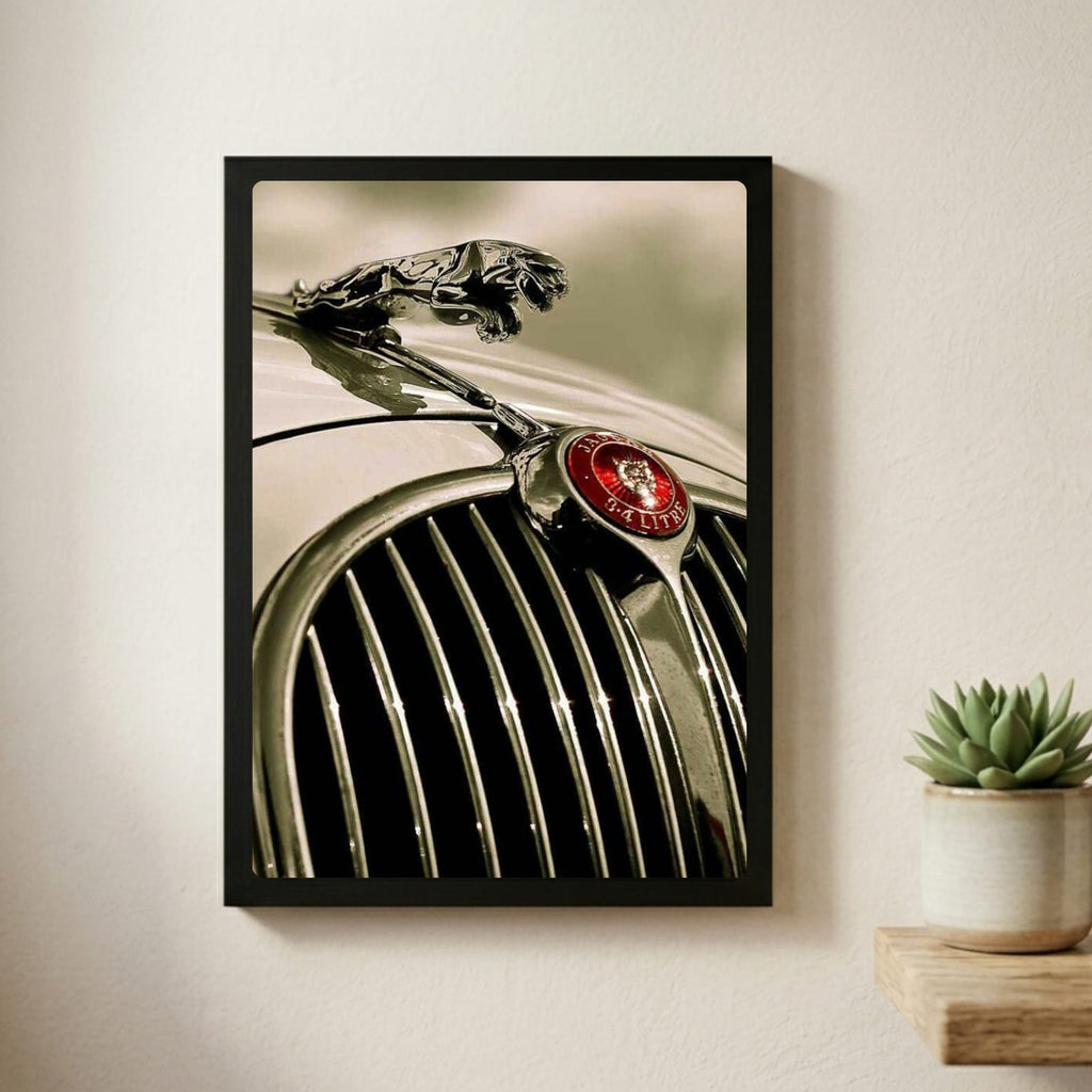 Jaguar